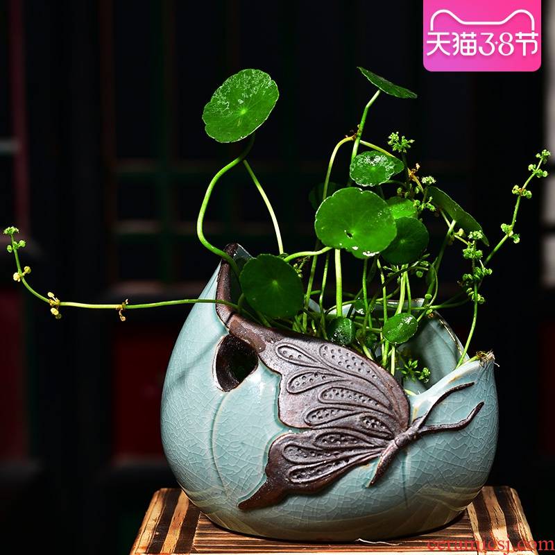 Refers to flower pot ceramic creative nonporous home hydroponic basin is copper money plant water raise grass withered lotus container size