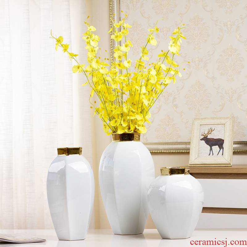 Nordic contracted white ceramic vase furnishing articles TV ark, small pure and fresh and dried flowers, flower arrangement table sitting room adornment