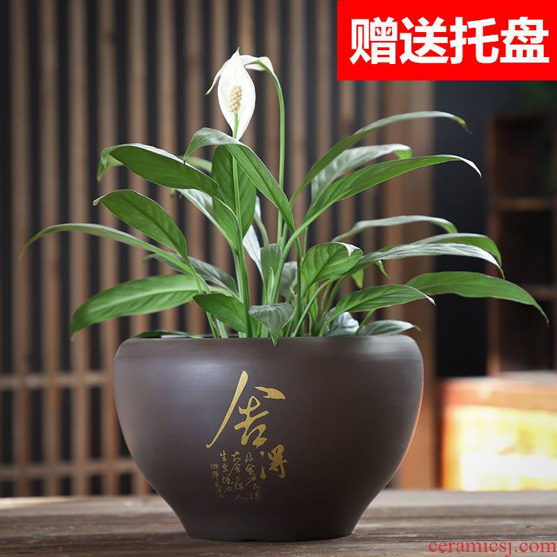 Purple sand flowerpot ceramic heavy large butterfly orchid asparagus with desktop tray was creative move money plant many flowers potted the plants