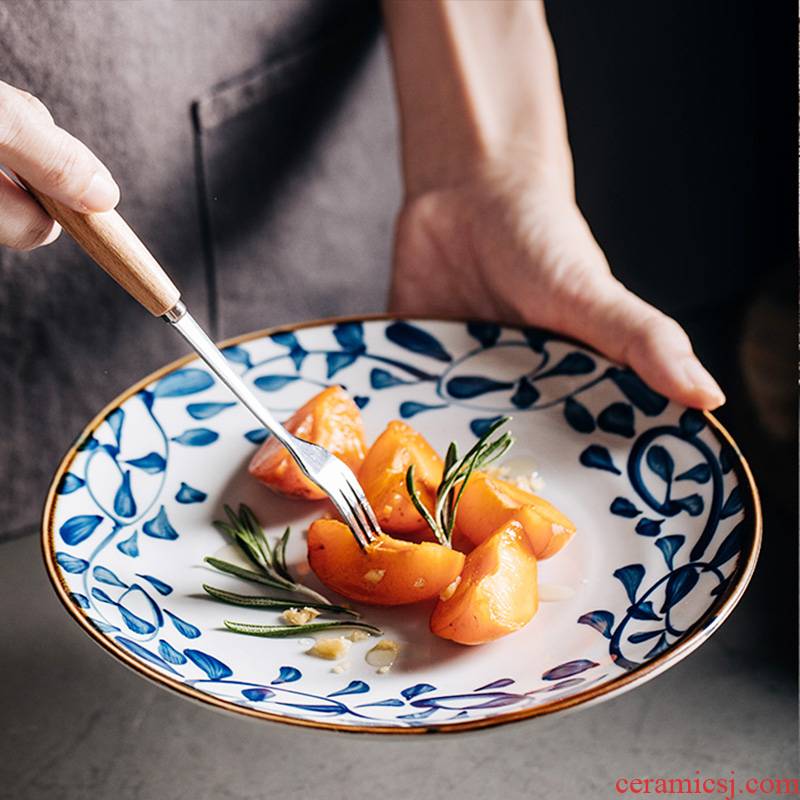Japanese ceramic plate hot dish dish dish dish irregular number plate household dish of creative SaPan dishes