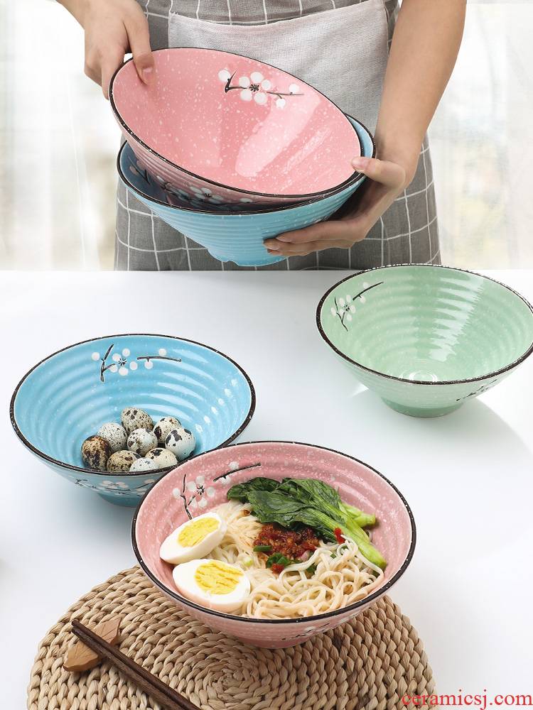 Eat noodles bowl of individual household jobs Japanese - style tableware of pottery and porcelain bowl of soup bowl large ltd. large hat to rainbow such use