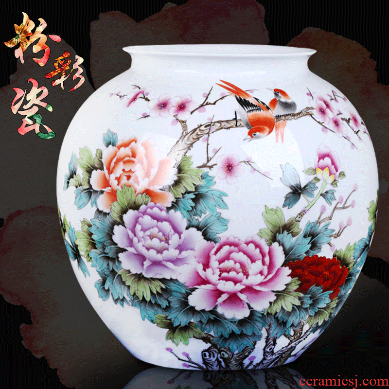 Jingdezhen ceramic big vase furnishing articles hand - made master vase decoration home sitting room decorate a room TV ark