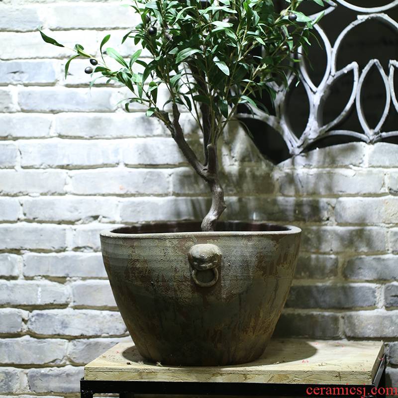 Jingdezhen "lion" new Chinese style of large ceramic aquarium lotus courtyard garden tank big flowerpot furnishing articles