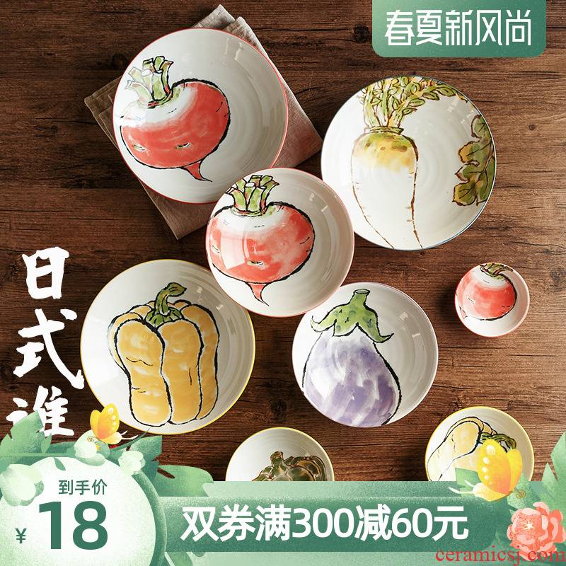 Imported from Japan cartoon dishes home fruit bowl dish vegetable salad plate of Japanese ceramics tableware plate plate