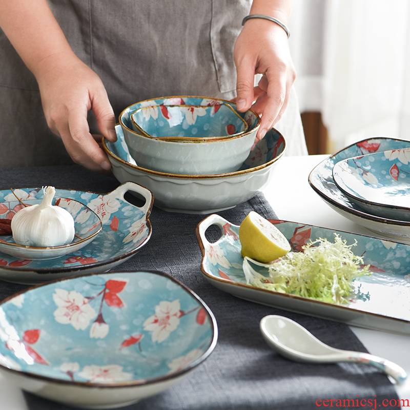 Creative Japanese rural wind hand - made ceramic tableware rice bowls bowl rainbow such as bowl dish dish fish dish dish dish