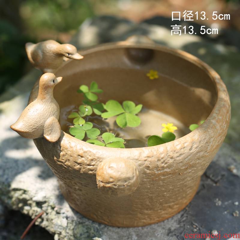 More meat small flowerpot pack mail special offer a clearance of creative move suit basin coarse pottery breathable, lovely combination, fleshy