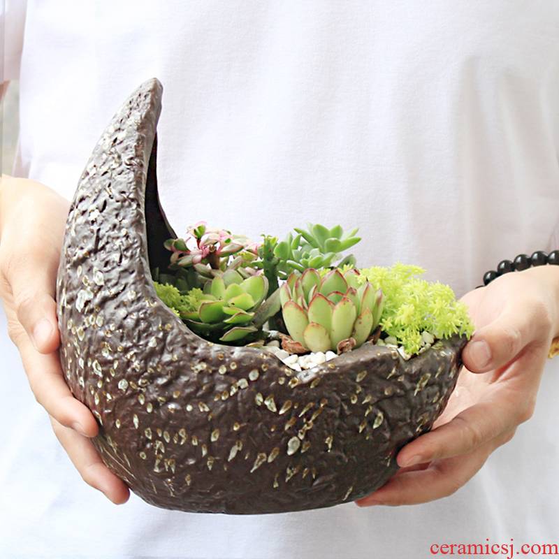 Creative fleshy pot move basin large Gao Jian about meat meat the plants green plant POTS coarse pottery basin of breathable specials