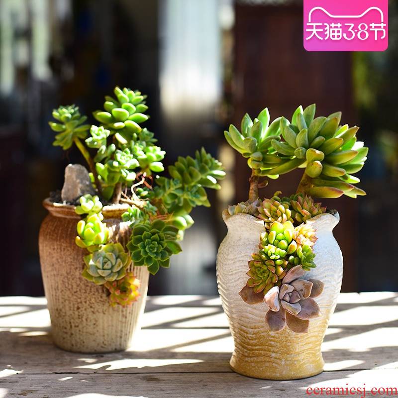 Combination clearance ceramic pot creative move -raise fleshy flower pot home thick clay fleshy small potted the plants