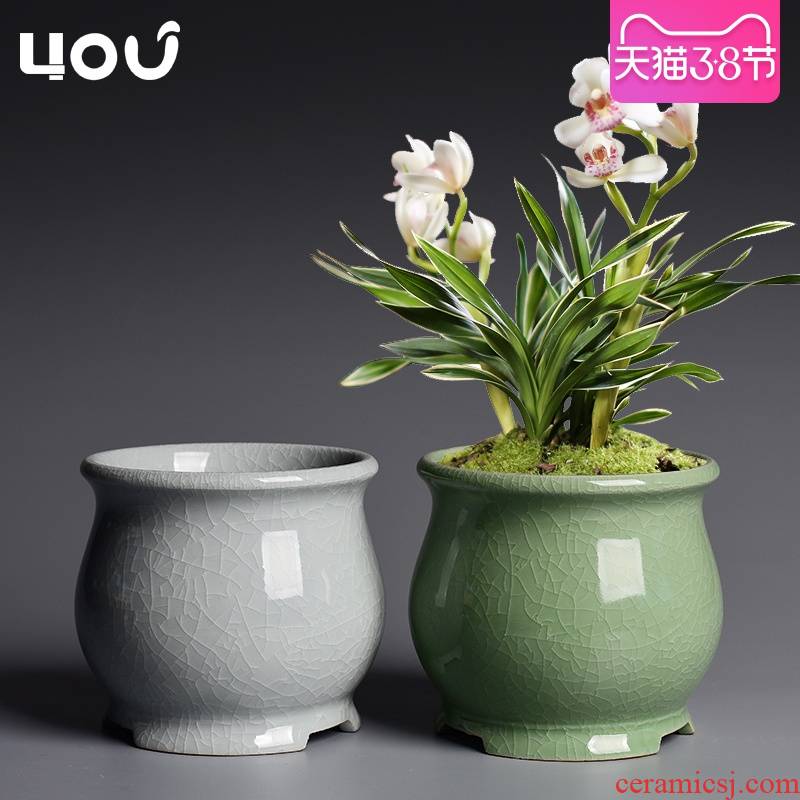 Special butterfly orchid flower POTS brother ceramic up household creative wind green plant bracketplant orchid basin in China plant bonsai POTS