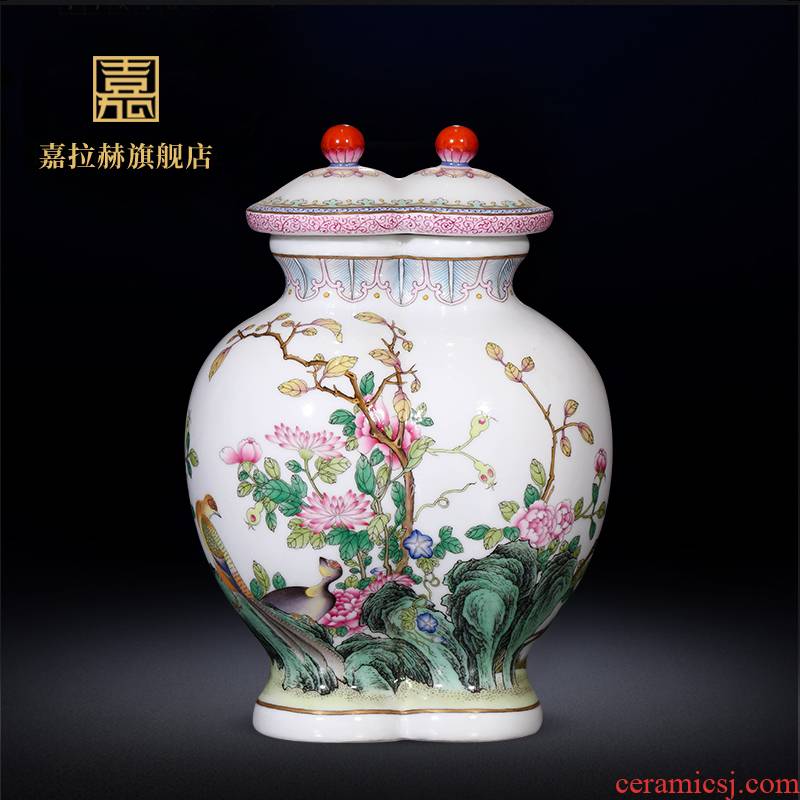 Jia lage jingdezhen ceramics furnishing articles YangShiQi hand - made colored enamel flower vase Chinese style porch decoration