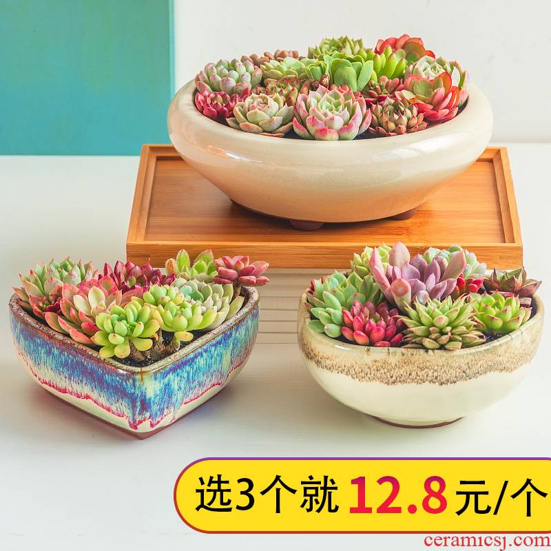 Large fleshy flowerpot fleshy green plant flowers, flower pot contracted individuality creative Large - diameter platter ceramics