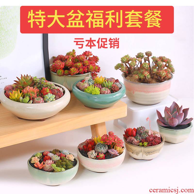 Extra large platter package welfare money meaty plant flowerpot coarse pottery special move contracted ceramic flower POTS, fleshy