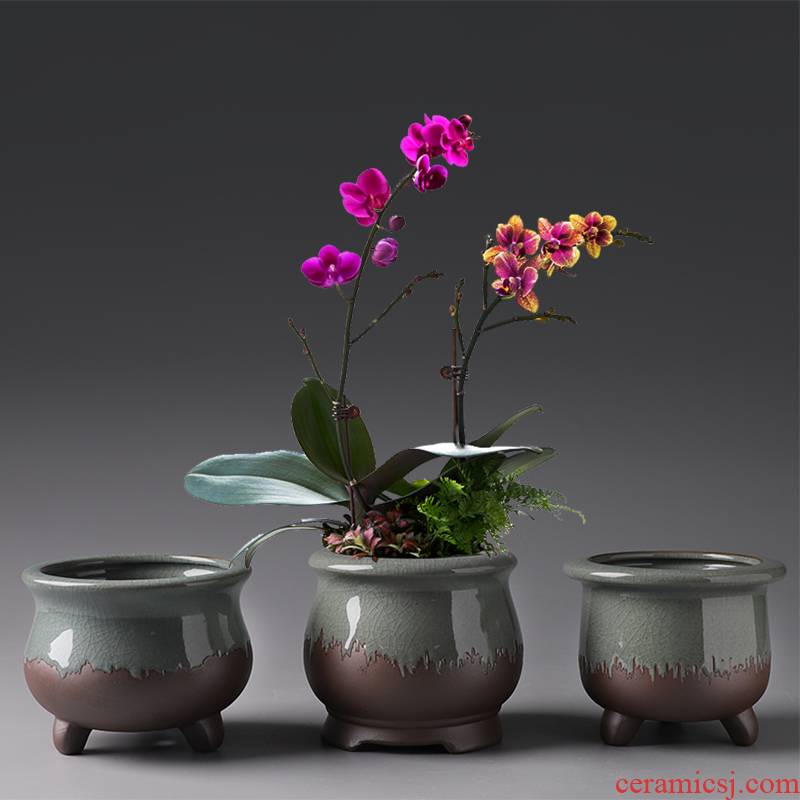 Purple sand flowerpot ceramic Chinese wind restoring ancient ways money plant air pot clay most creative flower pot meat meat meat the plants