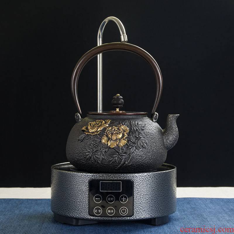 Cast iron pot of electric TaoLu boiled tea stove suit with pumping household glass teapot tea tea stove electricity iron pot in the south