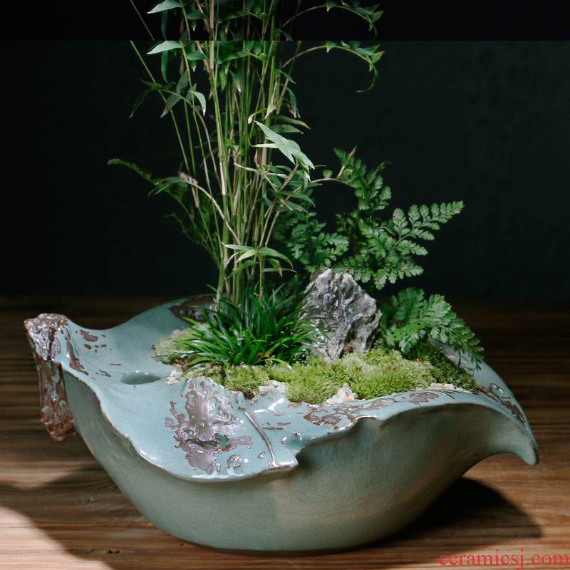 Creative move elder brother up with ceramic pot contracted money plant asparagus the plants potted large meat platter art basin