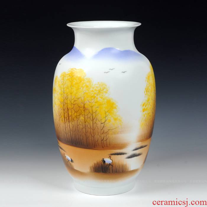 Modern Chinese jingdezhen ceramics sitting room place famous celebrity hand - made vases, home decorations arts and crafts