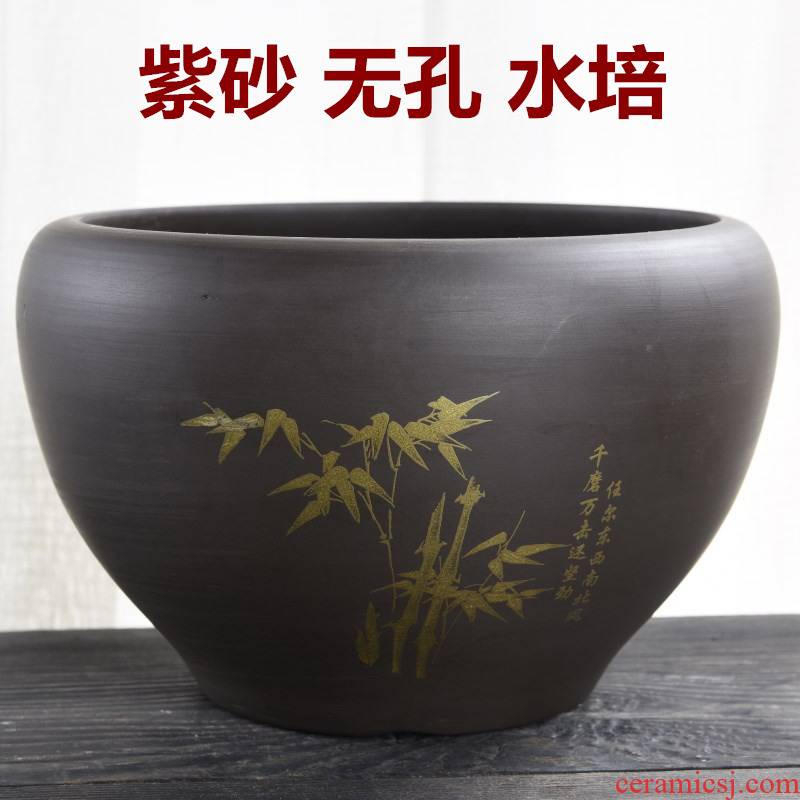 Violet arenaceous nonporous hydroponic flower pot ceramic special creative water lily bowl lotus refers to tea leaf lotus other copper wire grass to wash
