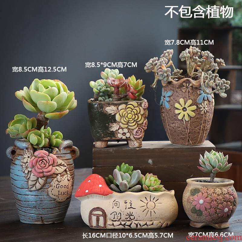 The Fleshy flowerpot combination suit special offer a clearance of creative move coarse pottery breathable old flowerpot pack mail from running meat meat the plants