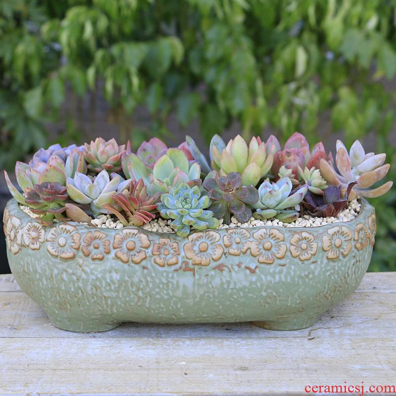Fleshy flowerpot ceramic package mail special offer a clearance coarse pottery large diameter large potted creative move appetizer combination