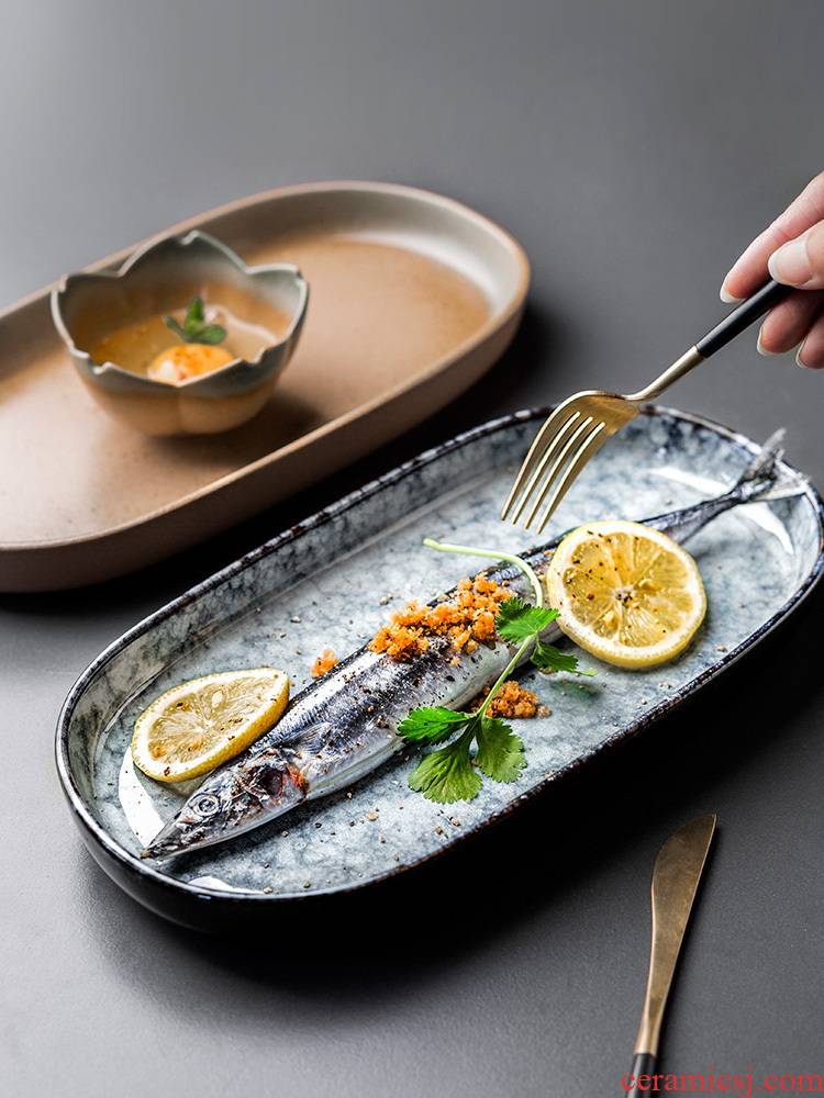 Porcelain color beauty of Japanese ceramic plate creative household large fish dish rectangular plate expressions using shallow dish plate tableware restoring ancient ways