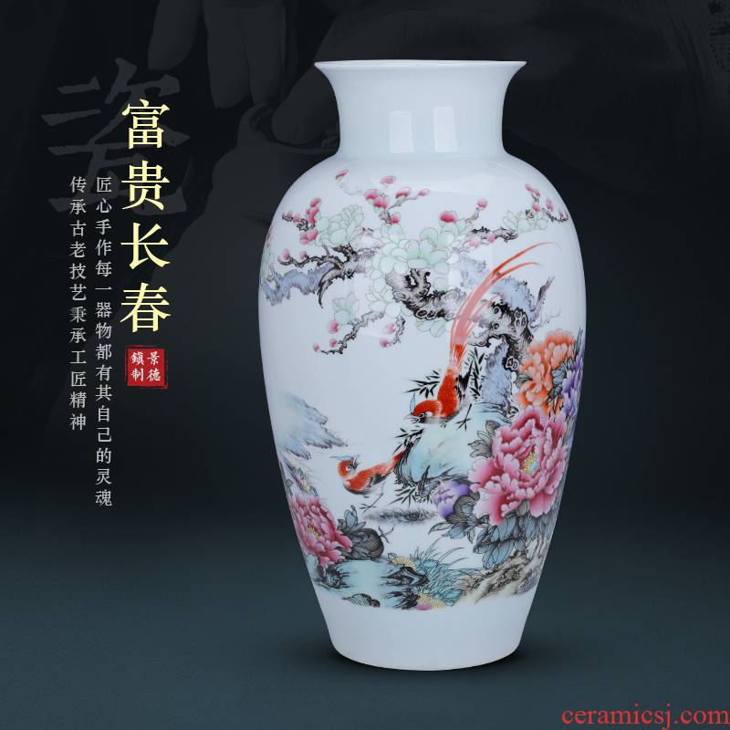 Jingdezhen porcelain jar, vase water raise household adornment furnishing articles to heavy large sitting room porch decoration flower arrangement