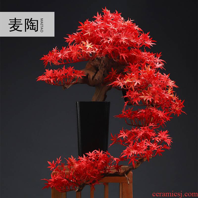 Simulation guest - the greeting pine bonsai MaiTao new Chinese style household model between ceramic furnishing articles sitting room porch soft outfit green plant