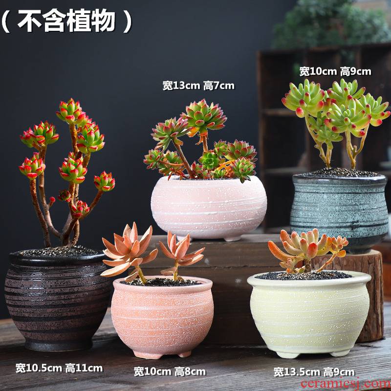 Coarse pottery flowerpot ceramic butterfly orchid violet arenaceous old running the green potted plant contracted ceramic creative move, fleshy wholesale