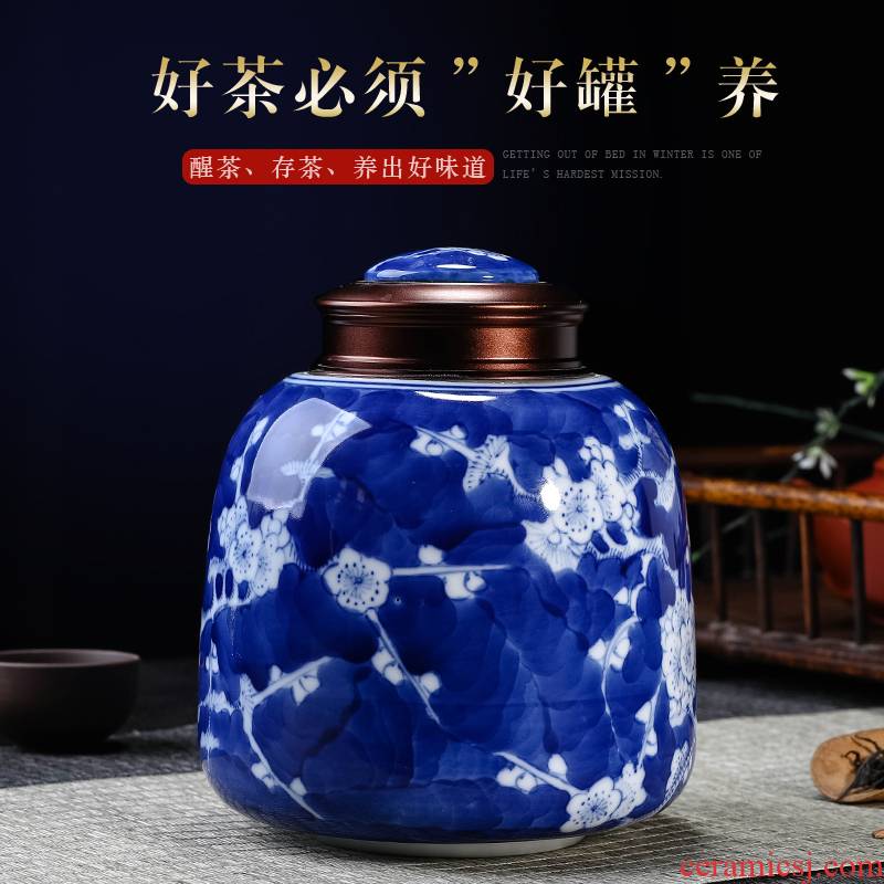 Jingdezhen ceramics hand - made porcelain tea pot seal tank storage tanks tea set small half jins moistureproof household