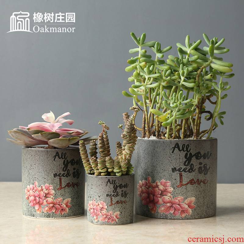 Nordic retro creative coarse pottery flowerpot more meat meat meat plant is potted balcony decorate adornment soil pottery pot