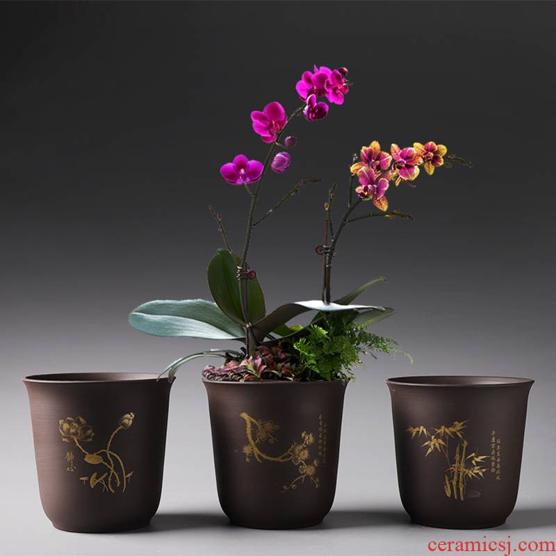 Purple sand flowerpot ceramic butterfly orchid special green plant money plant bracketplant creative contracted large fleshy flower pot