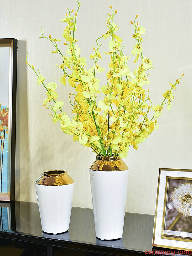 Modern light key-2 luxury ceramic vase hydroponic furnishing articles Jane 's creative living room table simulation flower art flower arranging machine accessories