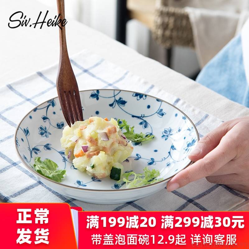 West fu Japanese creative ceramic plate domestic large deep dish soup plate disc dumplings plate of fruit salad plate