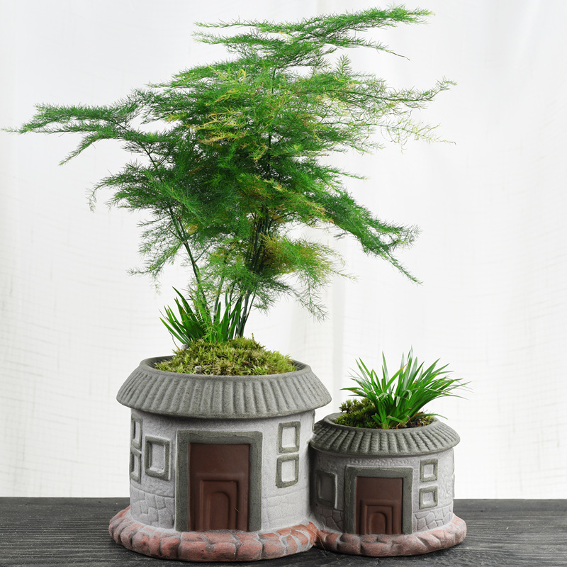 Small house flowerpot ceramic creative move courtyard asparagus rich tree China money plant contracted wind flower pot the plants