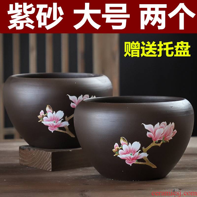 Butterfly orchid flower POTS purple large breathable clay with tray ideas other meat meat home meaty plant flower pot
