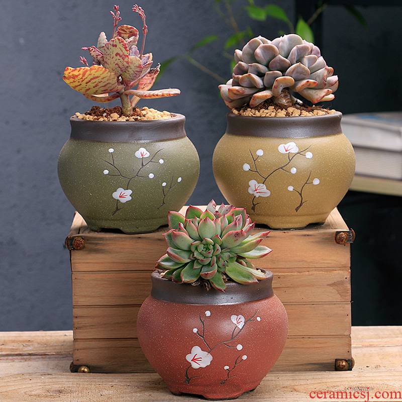 The Fleshy pot ceramic large special offer a clearance breathable creative move meat meat the plants flower pot in purple large diameter