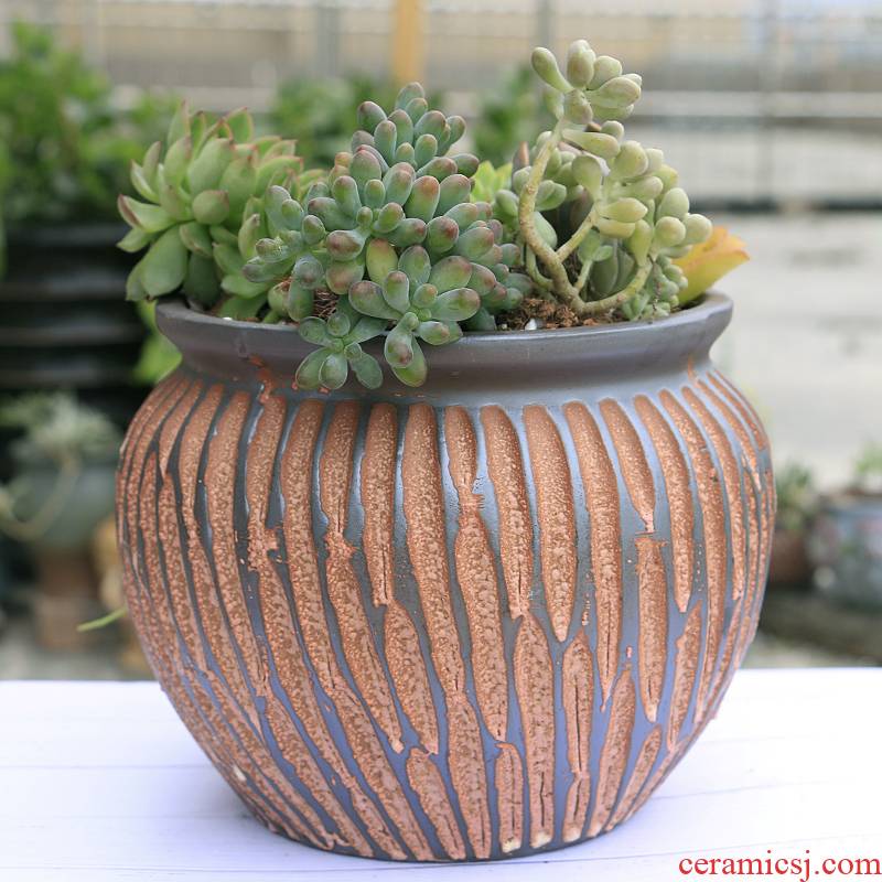 Old coarse pottery flowerpot ceramics violet arenaceous mud rock, fleshy creative Old running the meat meat plant basin POTS restoring ancient ways a clearance sale