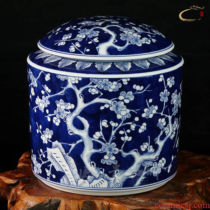 Beijing DE and auspicious jingdezhen ceramic POTS checking full color may caddy fixings household business gifts store POTS