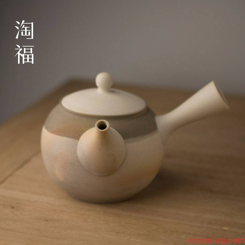 Side of Japanese checking ceramic teapot household teapot large - capacity single pot of kung fu tea tea tea kettle