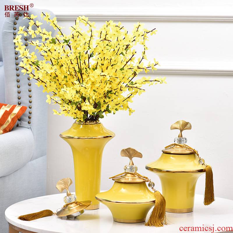 Ceramic light household act the role ofing is tasted much vase I sitting room tea table example room porch flower arrangement table furnishing articles