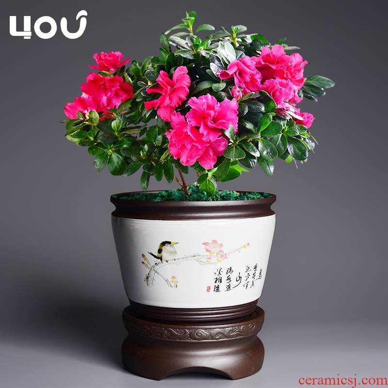 Lazy flowerpot automatic suction ceramic flower pot home of blue and white porcelain pot other special butterfly orchid orchid pot