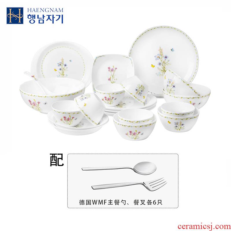 HAENGNAM Han Guoxing south says 32 WMF12 woolly head suit ipads porcelain tableware tableware with Germany
