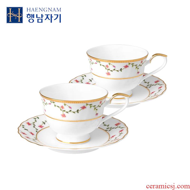 HAENGNAM Han Guoxing south China new says 2 cup 2 disc glair ipads China cups of coffee cup suit