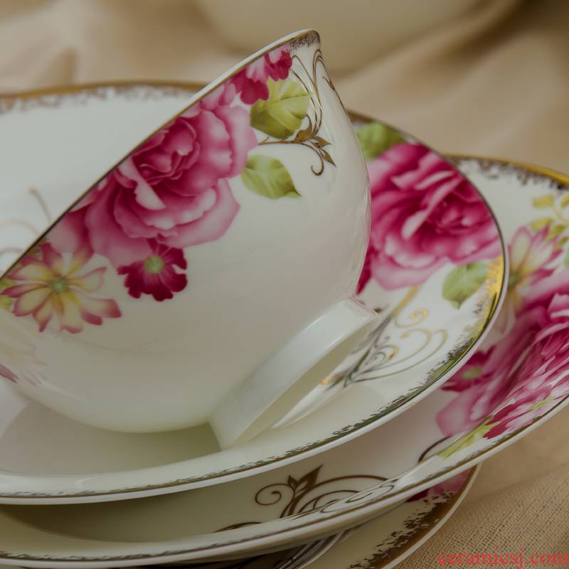 European odd ipads bowls that dishes jingdezhen ceramics tableware suit dish household microwave bowl dish