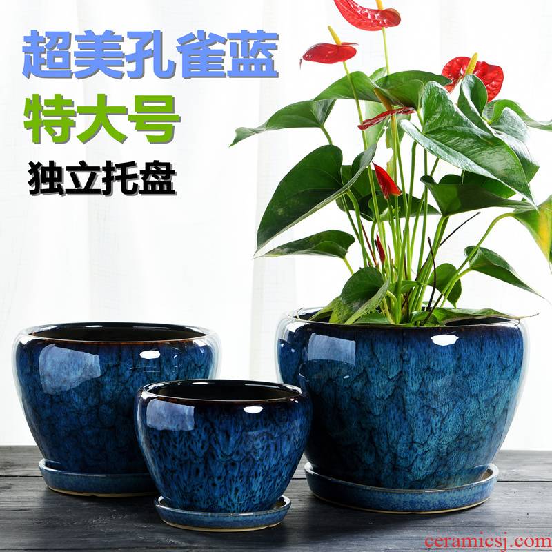 Heavy flowerpot ceramic large butterfly orchid with tray was special offer a clearance most breathable other meat rich tree, a flower pot