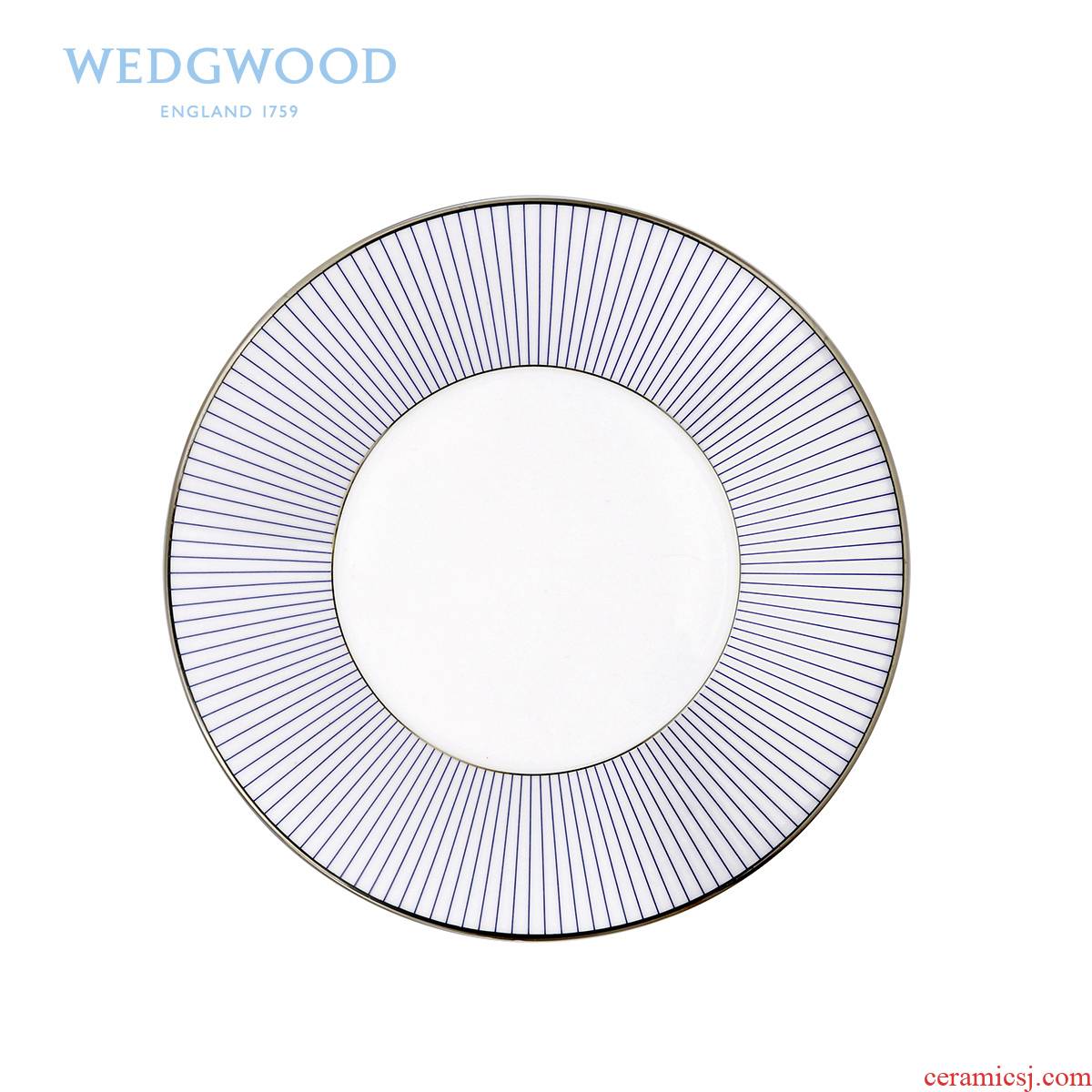 British Wedgwood Jasper Conran elegant stripe single 18 cm ipads China plates only a cold dish