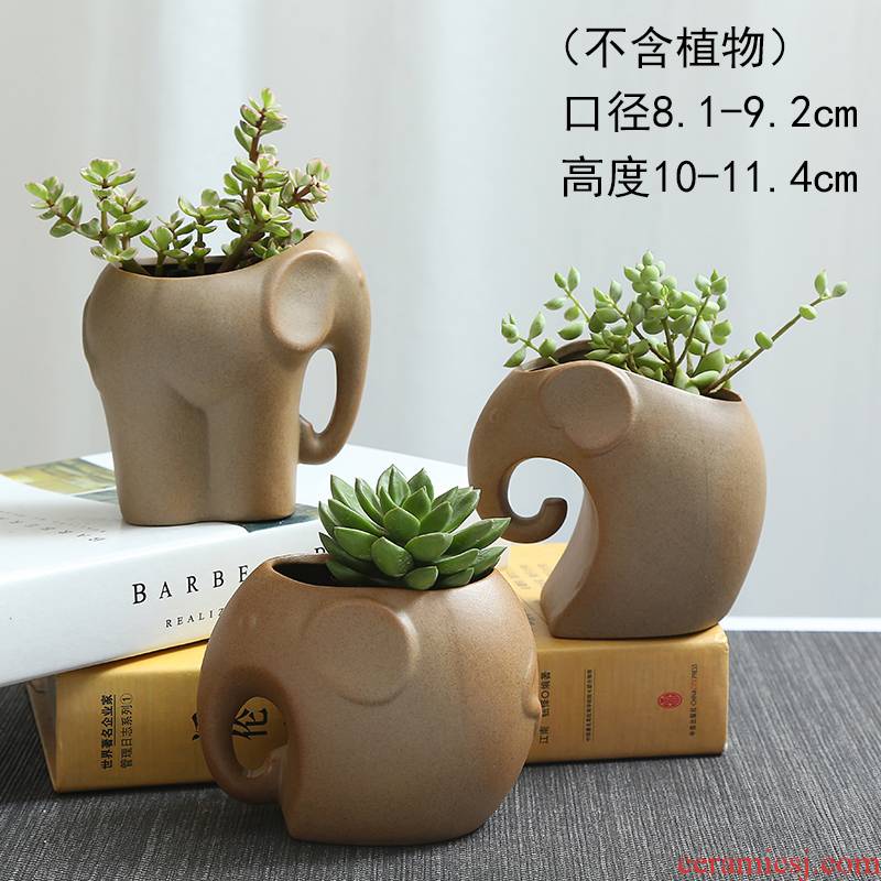 TaoXin language coarse TaoXiaoXiang meaty plant POTS cartoon creative rich tree asparagus ceramic flowerpot more meat