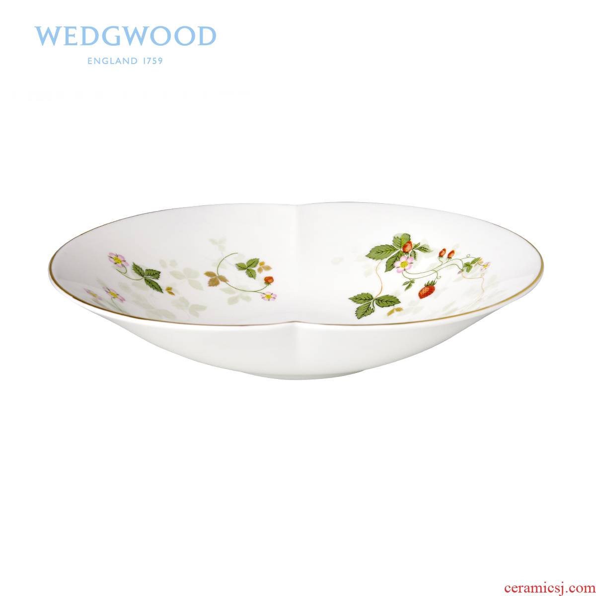 Wedgwood WildStrawberry wild strawberry type ipads China apple compote single European dishes