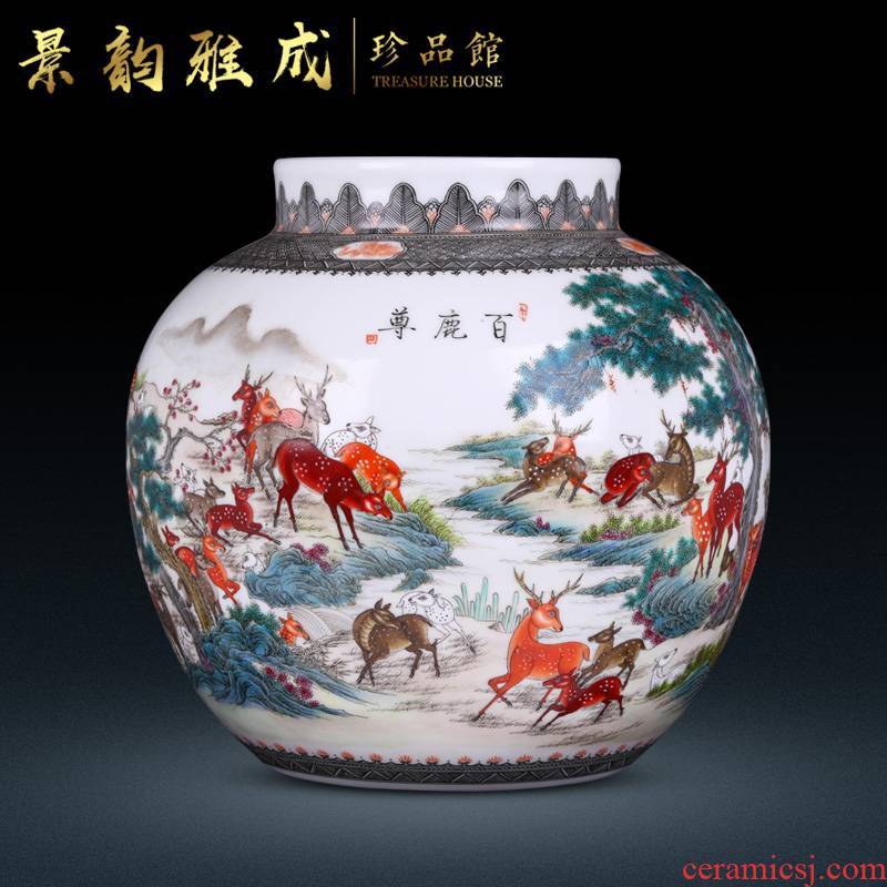 Jingdezhen ceramic home sitting room porch hand - made vases, adornment is placed new Chinese porcelain decoration process