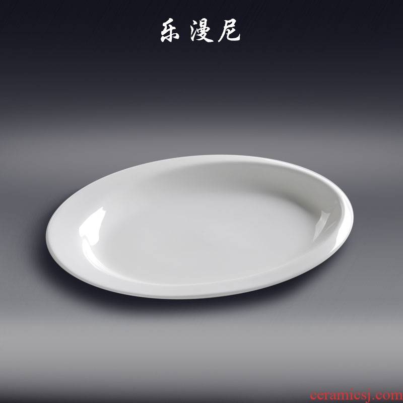 Le diffuse, egg - shaped wrong body plate - pure white ceramic plate with 2 disk toppings hot dish cooking fish dish