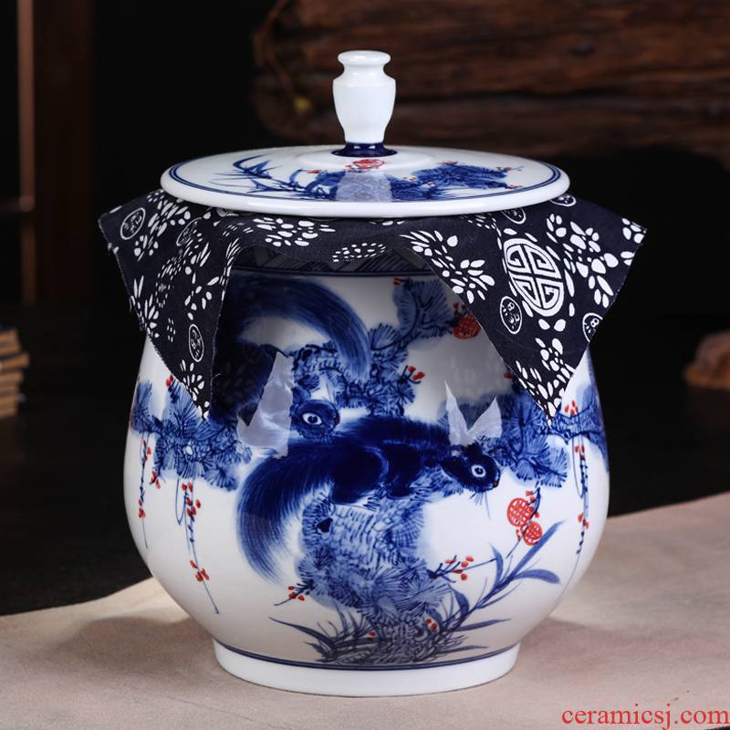 Jingdezhen ceramic hand - made porcelain squirrel seal POTS pu large tea packaging household caddy fixings